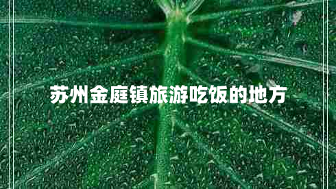 蘇州金庭鎮(zhèn)旅游吃飯的地方