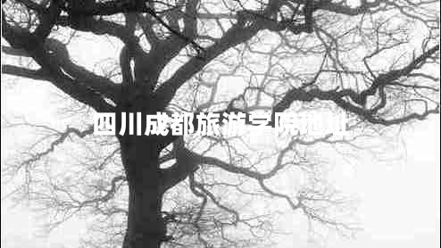 四川成都旅游學(xué)院地址