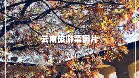 云南旅游票圖片