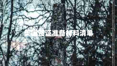 美國簽證準(zhǔn)備材料清單