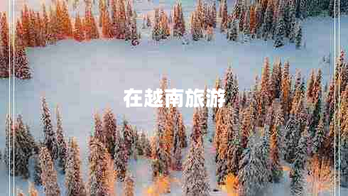 在越南旅游 在越南旅游