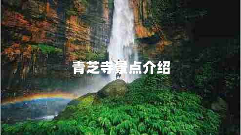 青芝寺景點(diǎn)介紹