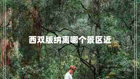 西雙版納離哪個景區(qū)近