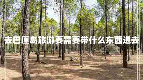 去巴厘島旅游要需要帶什么東西進(jìn)去