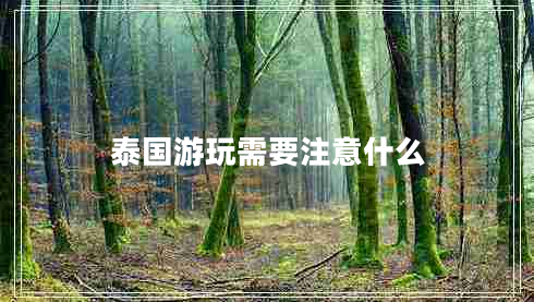 泰國游玩需要注意什么