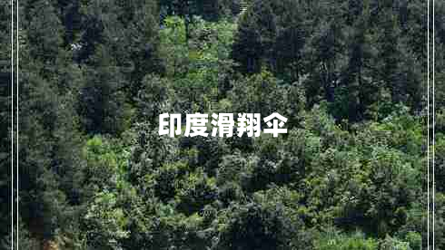 印度滑翔傘 印度滑翔傘