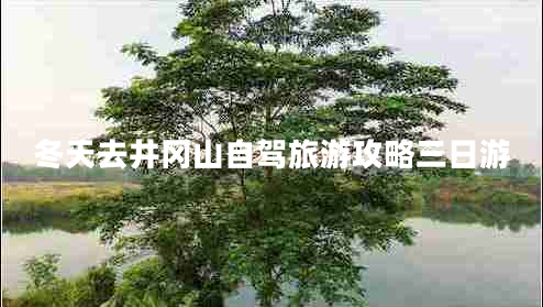 冬天去井岡山自駕旅游攻略三日游 冬天去井岡山自駕旅游攻略三日游