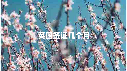 英國簽證幾個月