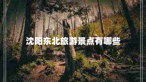 沈陽東北旅游景點(diǎn)有哪些