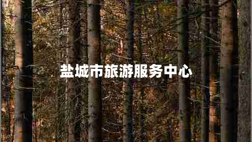 鹽城市旅游服務(wù)中心