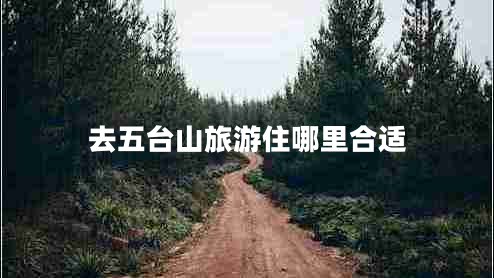 去五臺(tái)山旅游住哪里合適