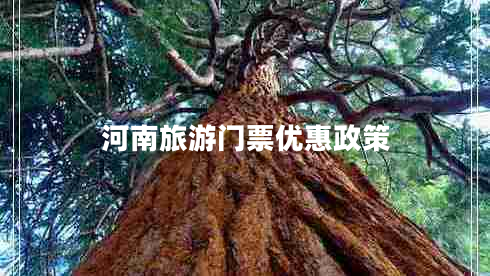 河南旅游門票優(yōu)惠政策 河南旅游門票優(yōu)惠政策