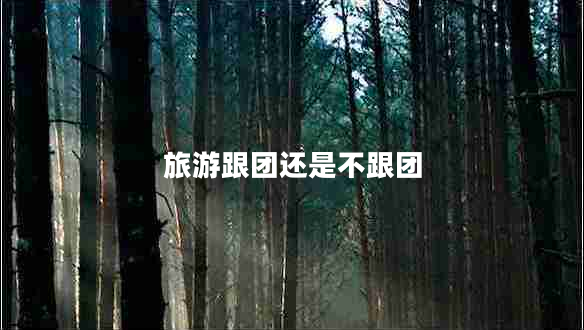 旅游跟團(tuán)還是不跟團(tuán)