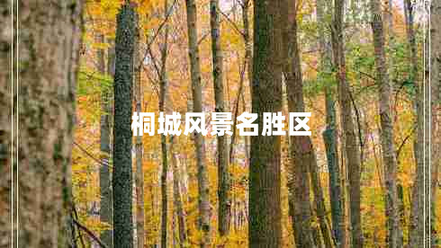 桐城風(fēng)景名勝區(qū)