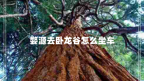 婺源去臥龍谷怎么坐車(chē)