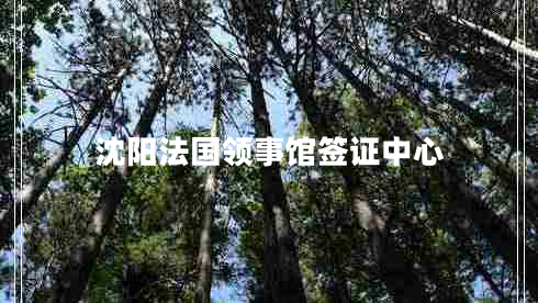沈陽(yáng)法國(guó)領(lǐng)事館簽證中心