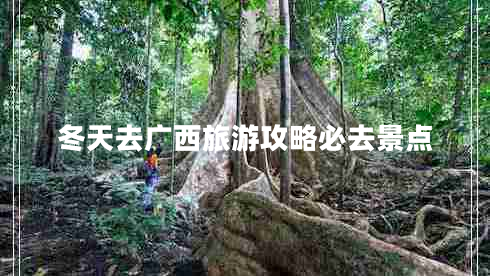 冬天去廣西旅游攻略必去景點 冬天去廣西旅游攻略必去景點