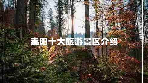 崇陽十大旅游景區(qū)介紹