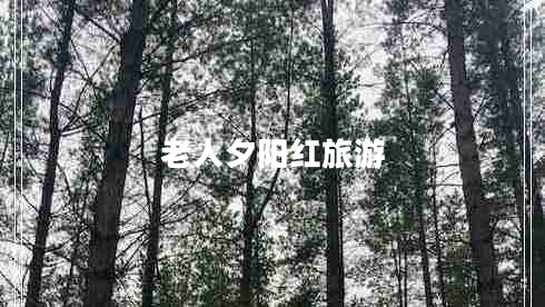 老人夕陽(yáng)紅旅游