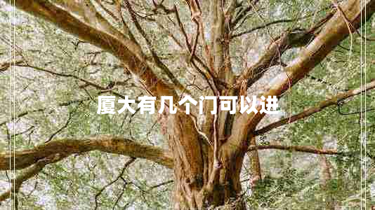 廈大有幾個門可以進