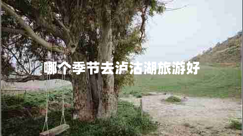 哪個(gè)季節(jié)去瀘沽湖旅游好 哪個(gè)季節(jié)去瀘沽湖旅游好