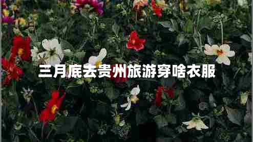 三月底去貴州旅游穿啥衣服 三月底去貴州旅游穿啥衣服