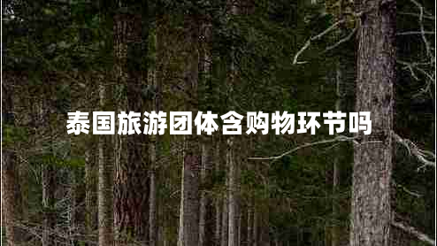 泰國旅游團(tuán)體含購物環(huán)節(jié)嗎