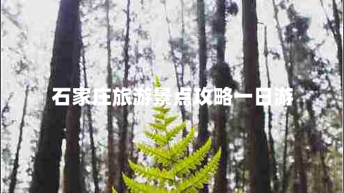 石家莊旅游景點(diǎn)攻略一日游 石家莊旅游景點(diǎn)攻略一日游