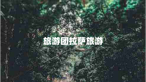 旅游團拉薩旅游 旅游團拉薩旅游