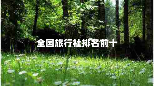 全國旅行社排名前十