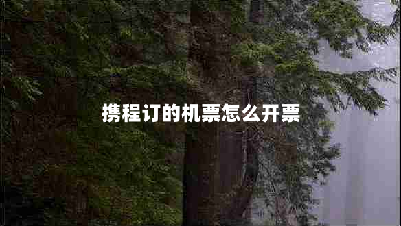 攜程訂的機票怎么開票