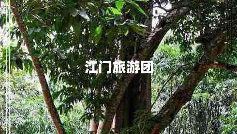 江門旅游團(tuán)