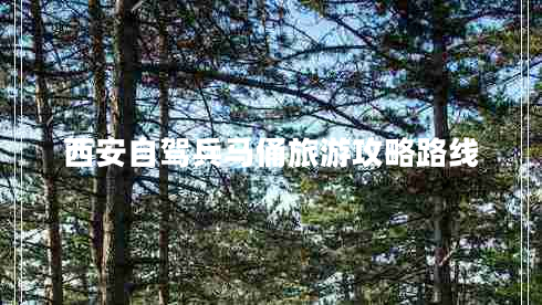 西安自駕兵馬俑旅游攻略路線