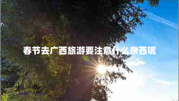 春節(jié)去廣西旅游要注意什么東西呢