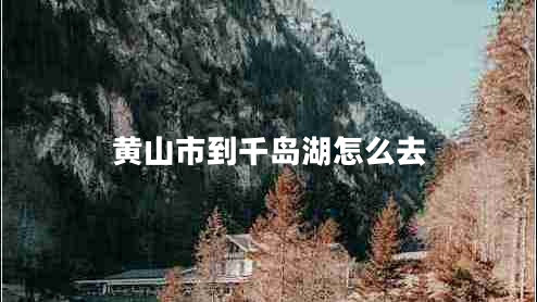 黃山市到千島湖怎么去