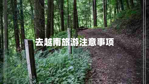 去越南旅游注意事項