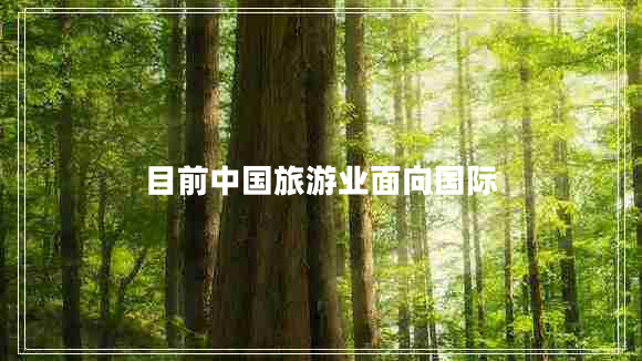 目前中國(guó)旅游業(yè)面向國(guó)際