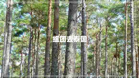 組團去泰國 組團去泰國