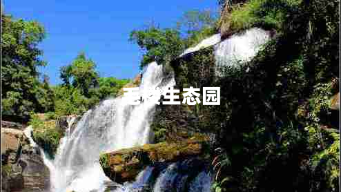 毛樓生態(tài)園