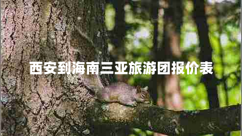西安到海南三亞旅游團(tuán)報(bào)價(jià)表 西安到海南三亞旅游團(tuán)報(bào)價(jià)表