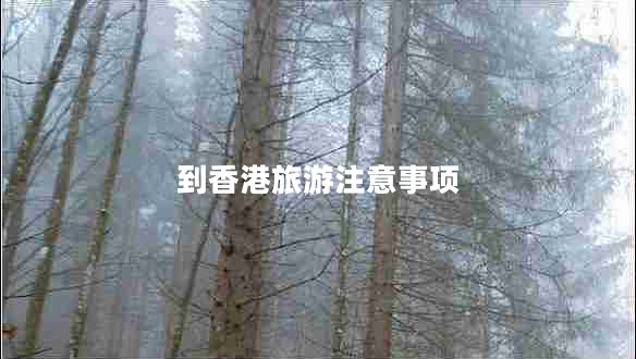 到香港旅游注意事項
