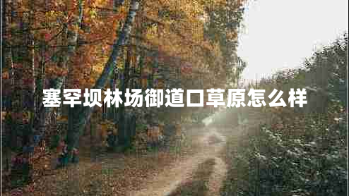 塞罕壩林場御道口草原怎么樣