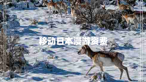 移動日本漫游資費(fèi)