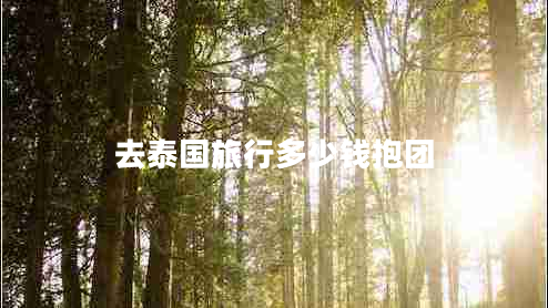 去泰國(guó)旅行多少錢(qián)抱團(tuán)