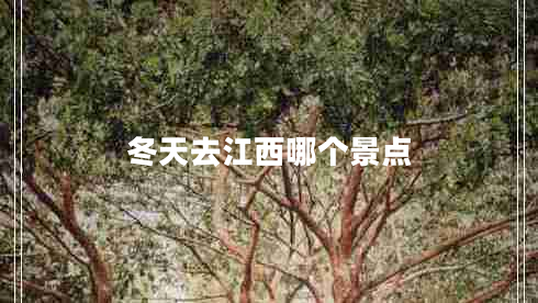 冬天去江西哪個(gè)景點(diǎn)