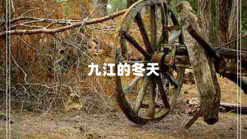 九江的冬天