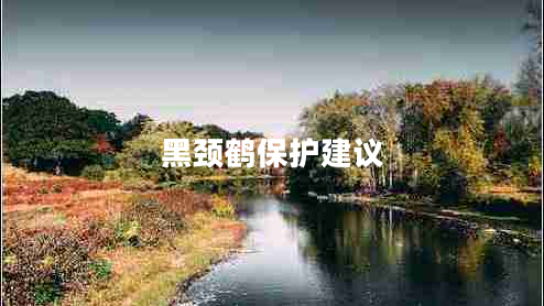 黑頸鶴保護建議