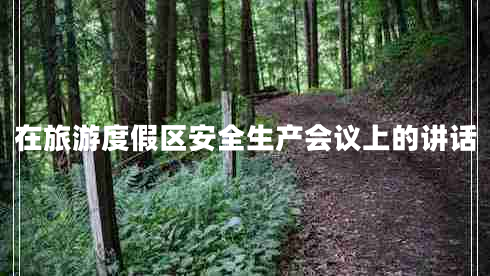 在旅游度假區(qū)安全生產(chǎn)會(huì)議上的講話