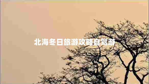 北海冬日旅游攻略自駕游