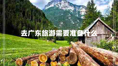 去廣東旅游需要準(zhǔn)備什么
